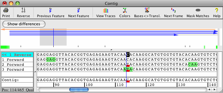 Contig view of CodonCode Aligner showing a sequence assembly