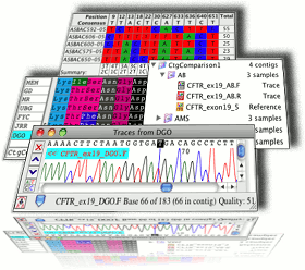 software to align dna sequences