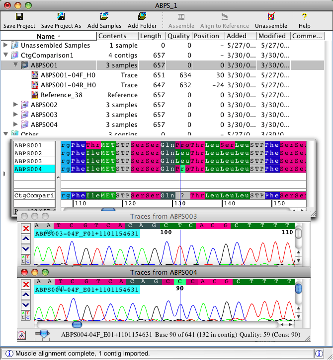 contig alignments in CodonCode Aligner - back to sequence traces with a mouse click 