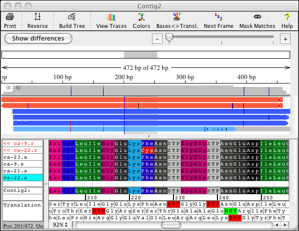 Amino acid translations in CodonCode Aligner translation