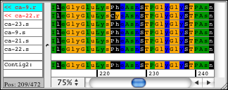 Looking at the protein translation of sequences with a by-base colored background