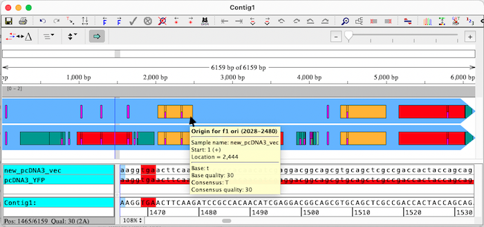 Features for aligned sequences