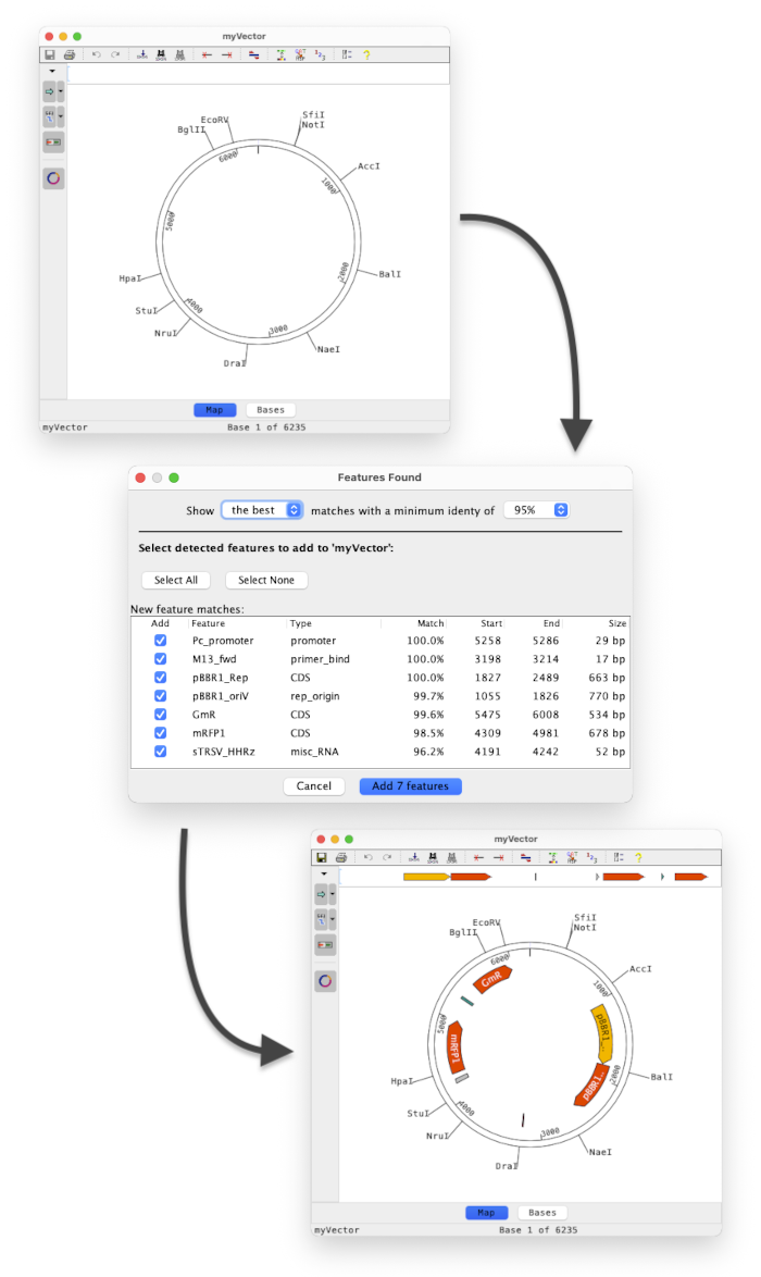 Find Common Features