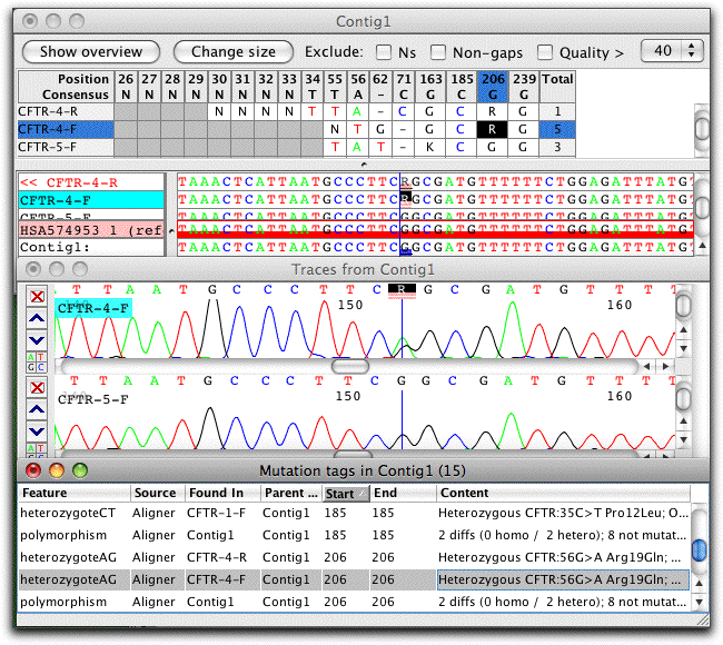 amino acid level effect annotation of heterozygous point mutations