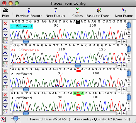 codoncode aligner ver. 2