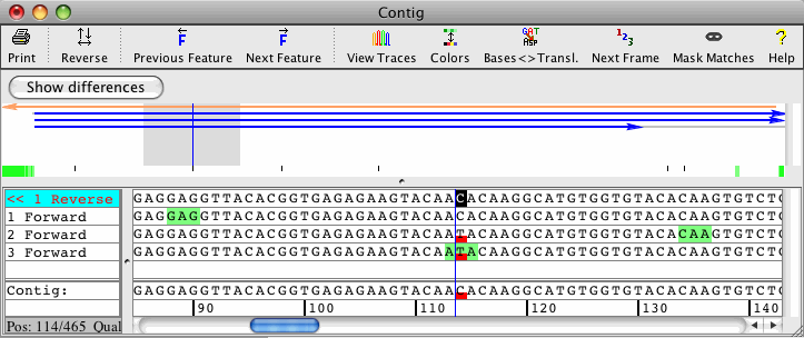 base sequence analysis