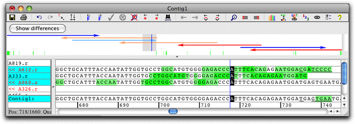 codoncode aligner torrent