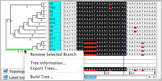 Tree for selection and splitting of phylogenetic trees